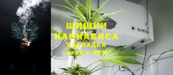 СК Алексин
