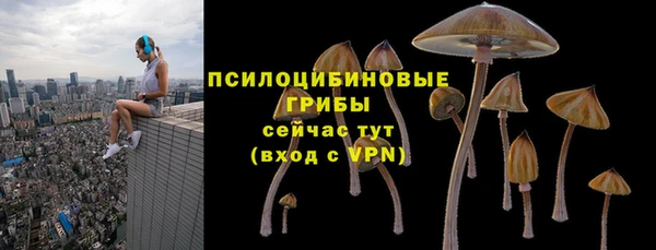 круглые Алзамай