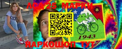 спиды Моздок