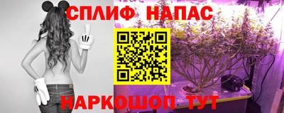прущие грибы Можга