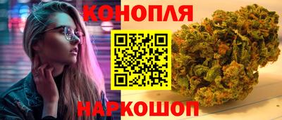 прущие грибы Можга