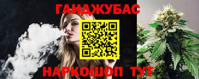 прущие грибы Можга