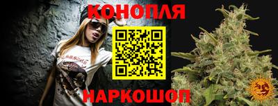 спиды Моздок
