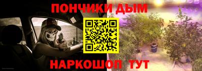 прущие грибы Можга